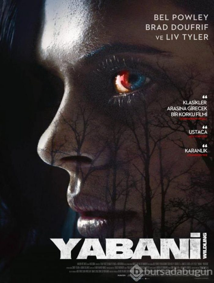 Yabani