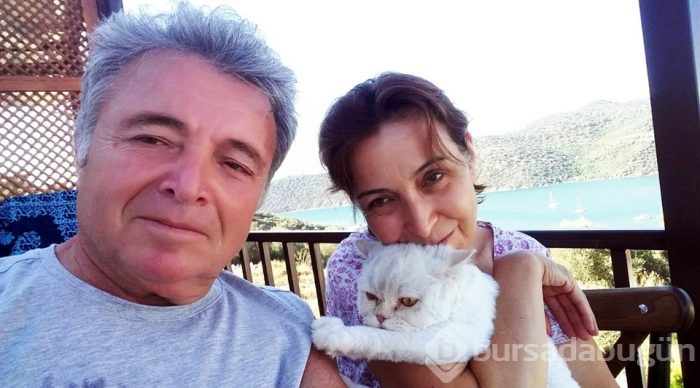 Kayıp kedi minibüsün kaportasından çıktı