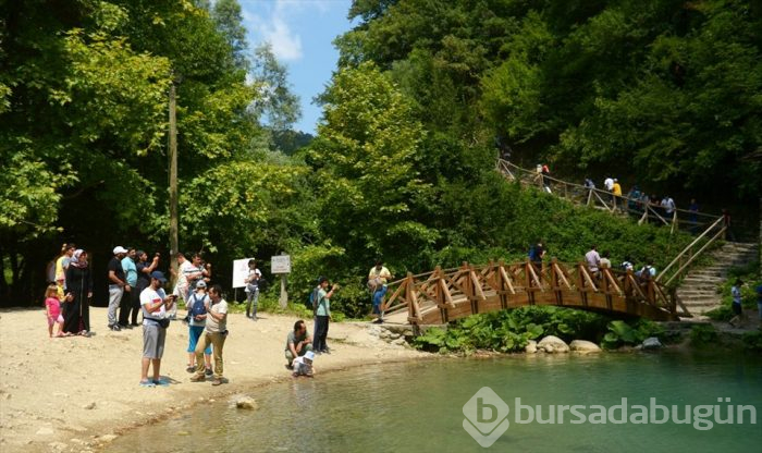 Sinop'ta 20 yıl önce keşfedilmiş doğal cennet: Erfelek Tatlıca Şelaleleri