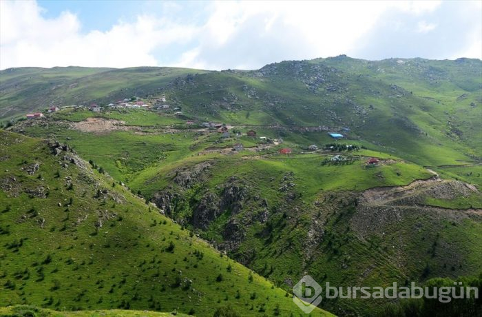 Yeşilin yurdu Gümüşhane yaylaları ziyaretçilerini bekliyor