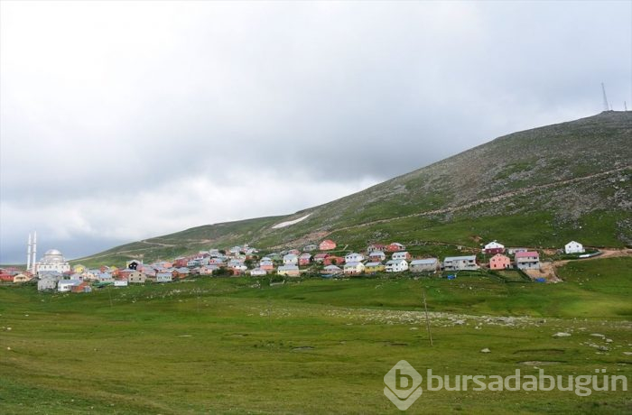 Yeşilin yurdu Gümüşhane yaylaları ziyaretçilerini bekliyor