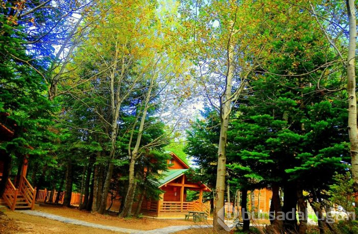 Uludağ'ın orman köşklerinde tatil keyfi