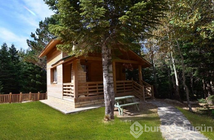 Uludağ'ın orman köşklerinde tatil keyfi