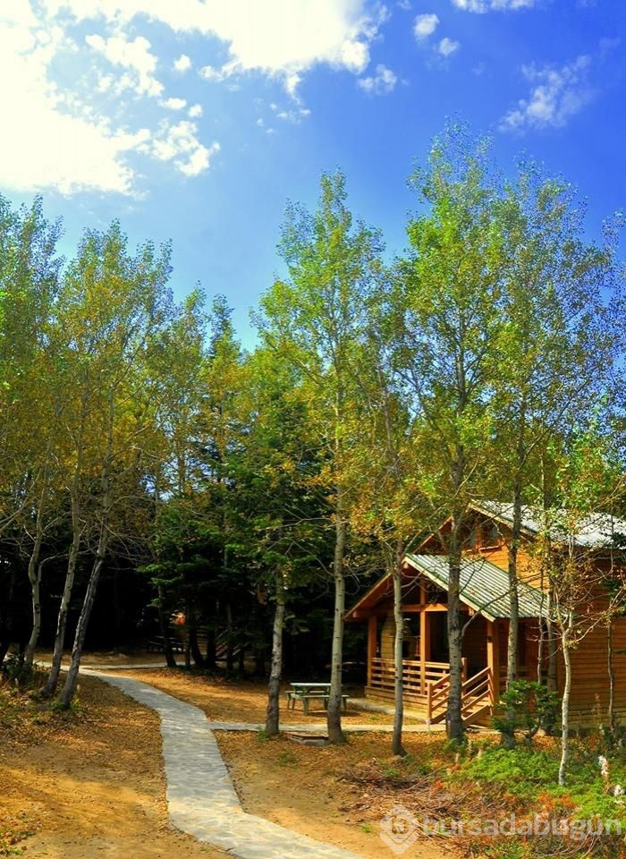 Uludağ'ın orman köşklerinde tatil keyfi