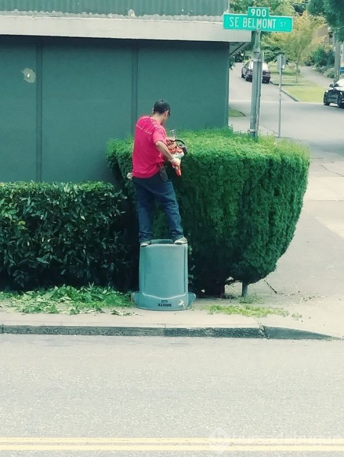 Erkeklerin neden kadınlardan daha kısa yaşadığını gösteren 100 fotoğraf