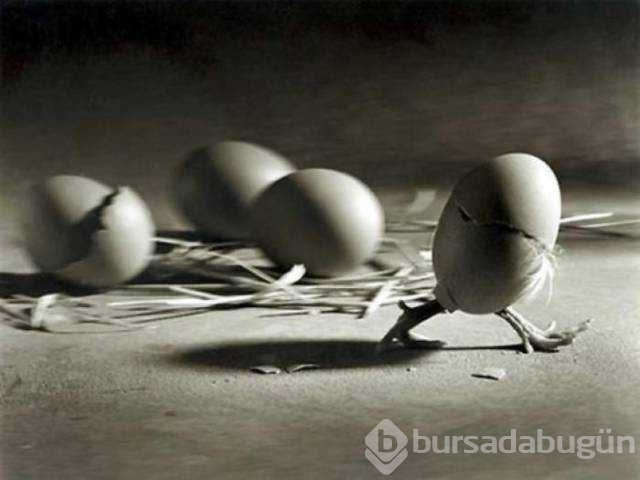 Günün en çok paylaşılan fotoğrafları
