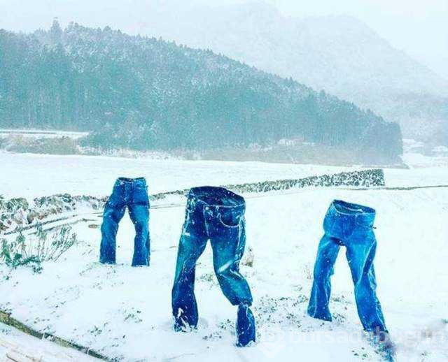 Günün en çok paylaşılan fotoğrafları
