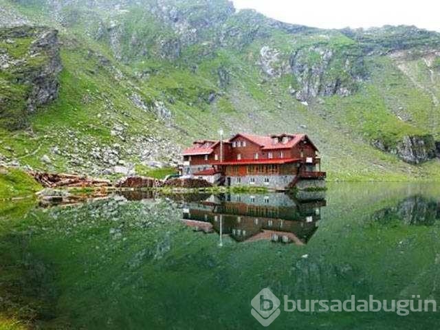 Günün en çok paylaşılan fotoğrafları
