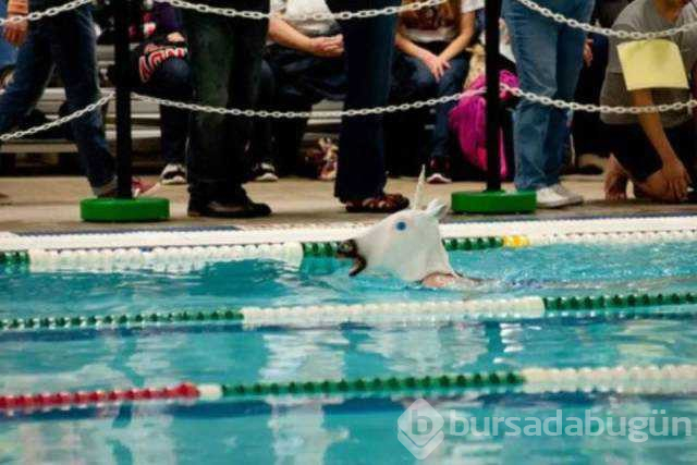 Günün en çok paylaşılan fotoğrafları
