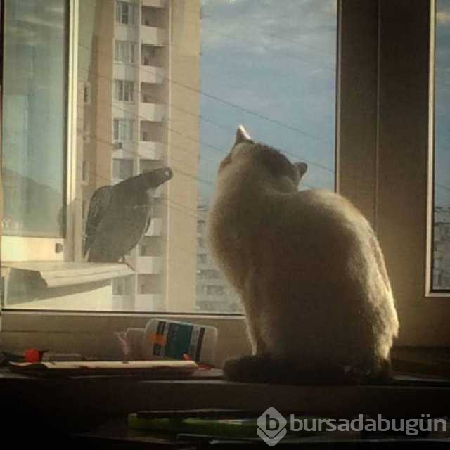 Günün en çok paylaşılan fotoğrafları
