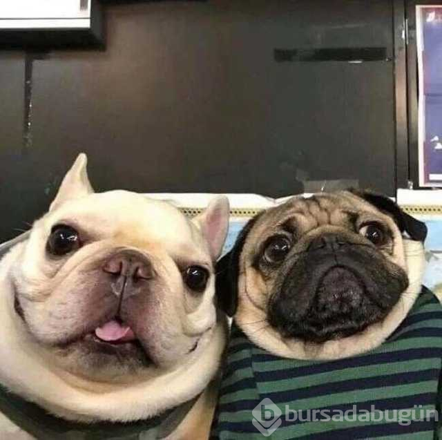 Günün en çok paylaşılan fotoğrafları
