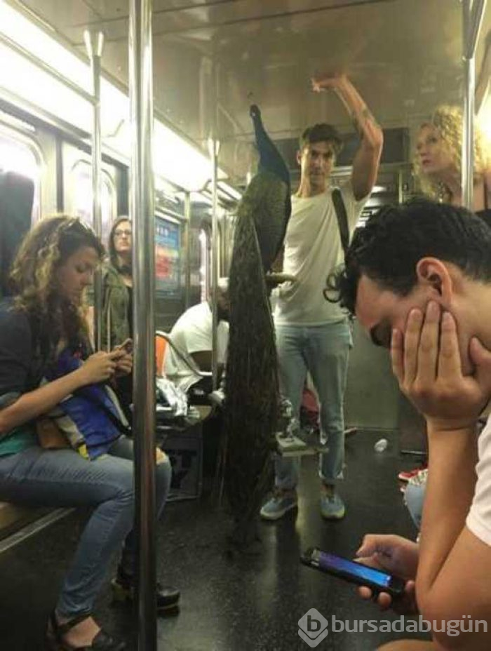 Günün en çok paylaşılan fotoğrafları

