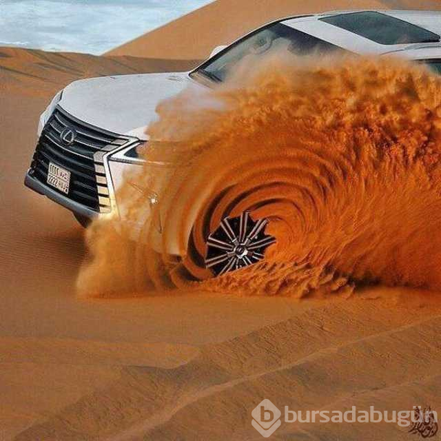 Günün en çok paylaşılan fotoğrafları

