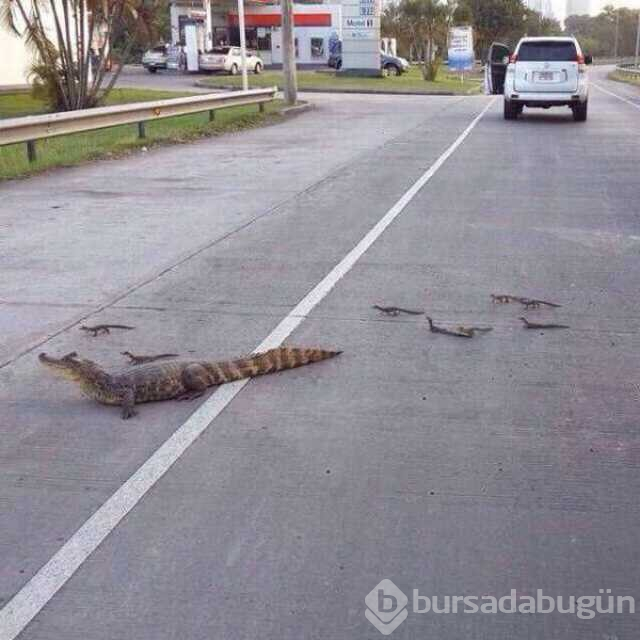 Günün en çok paylaşılan fotoğrafları
