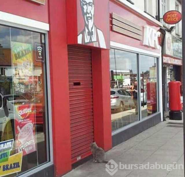 Günün en çok paylaşılan fotoğrafları
