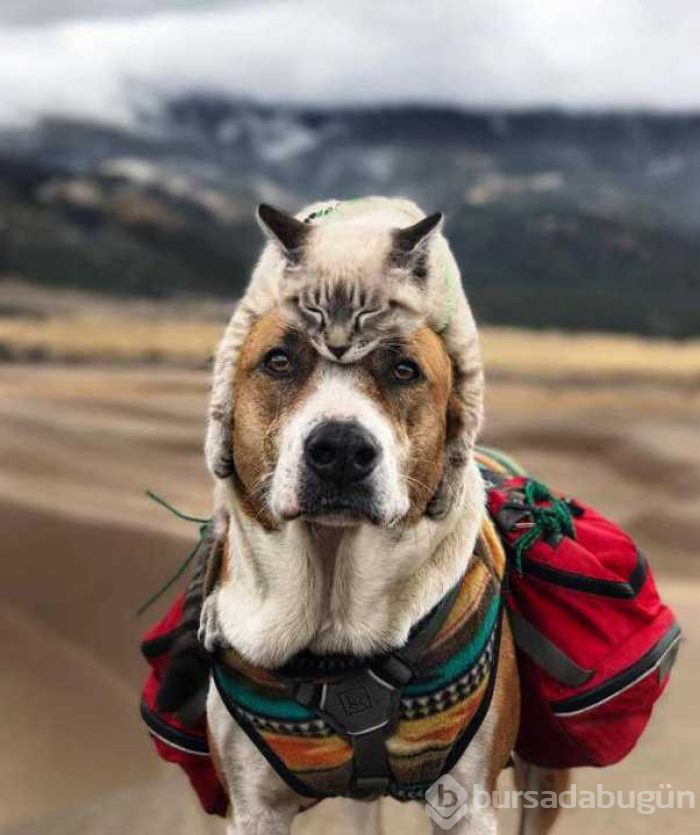 Günün en çok paylaşılan fotoğrafları
