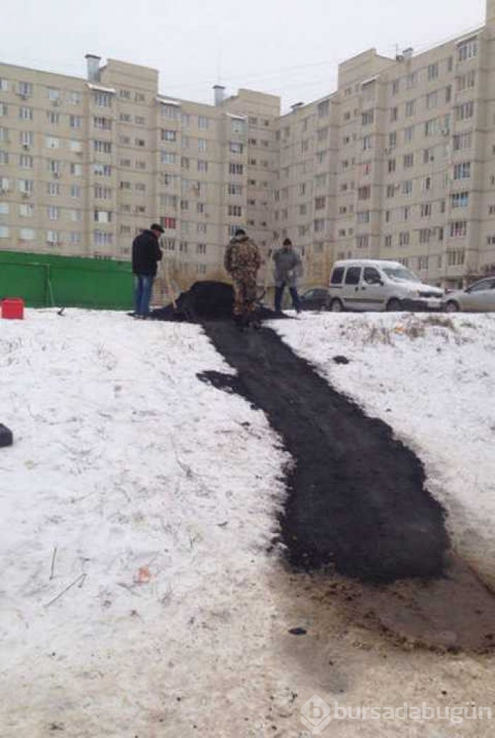 Günün en çok paylaşılan fotoğrafları
