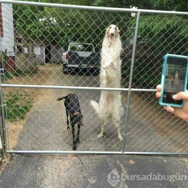 Günün en çok paylaşılan fotoğrafları
