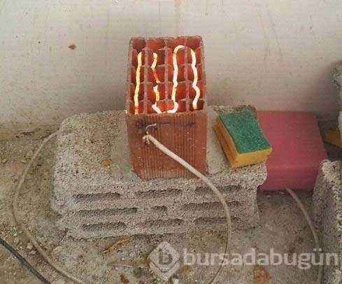 Yurdum insanının pratik zekası
