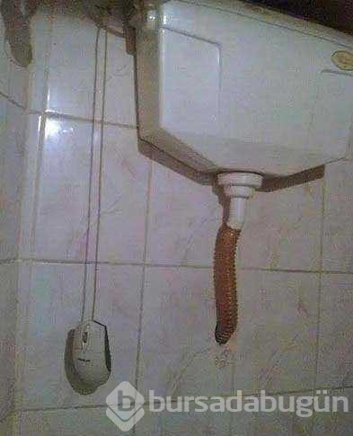 Yurdum insanının pratik zekası
