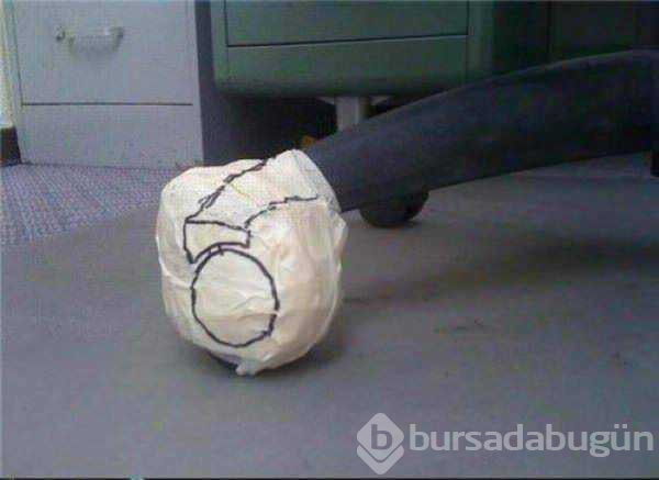 Yurdum insanının pratik zekası
