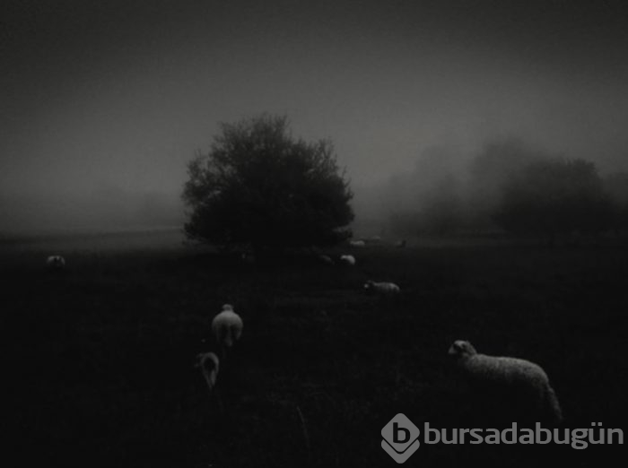 2018 iPhone Fotoğraf Ödülleri açıklandı (Kazananlar arasında Türkiye'den de 3 isim yer aldı)