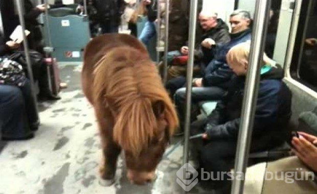 Metroların dünyanın en renkli yerleri olduğunun kanıtı 12 fotoğraf

