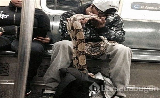 Metroların dünyanın en renkli yerleri olduğunun kanıtı 12 fotoğraf
