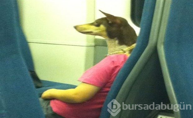Metroların dünyanın en renkli yerleri olduğunun kanıtı 12 fotoğraf
