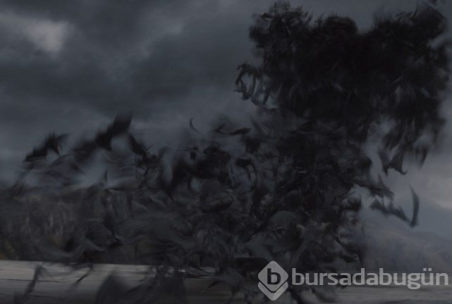 Filmlerin ve dizilerin ünlü sahnelerinin gerçek görüntüleri (Kamera arkası)