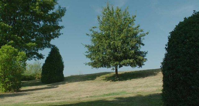 Filmlerin ve dizilerin ünlü sahnelerinin gerçek görüntüleri (Kamera arkası)