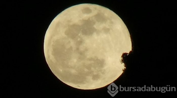 21'inci yüzyılın en uzun 'Kanlı Ay Tutulması' en güzel kareleri.