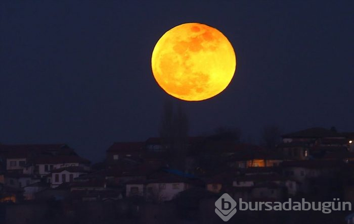 21'inci yüzyılın en uzun 'Kanlı Ay Tutulması' en güzel kareleri.