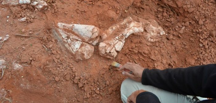 200 milyon yıllık dev dinozor fosili bulundu
