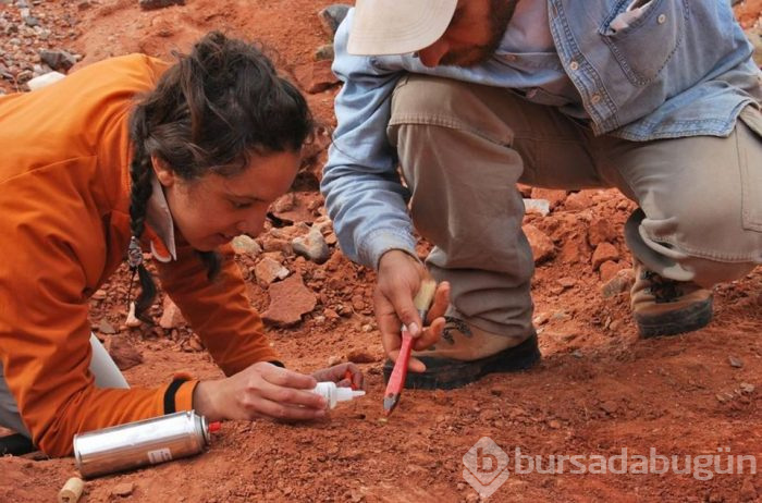 200 milyon yıllık dev dinozor fosili bulundu