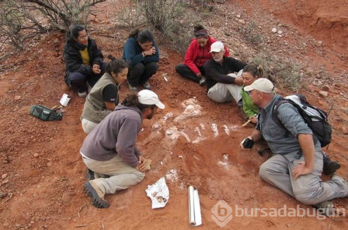 200 milyon yıllık dev dinozor fosili bulundu
