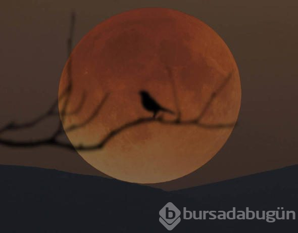 Türkiye'de akşam 103 dakika boyunca 'kanlı' görünecek!

