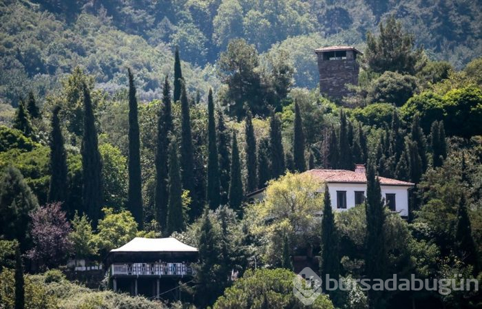 'Kıyamet köyü' Şirince şöhretinin zirvesinde
