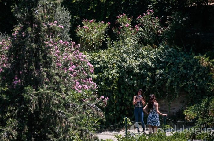 'Kıyamet köyü' Şirince şöhretinin zirvesinde
