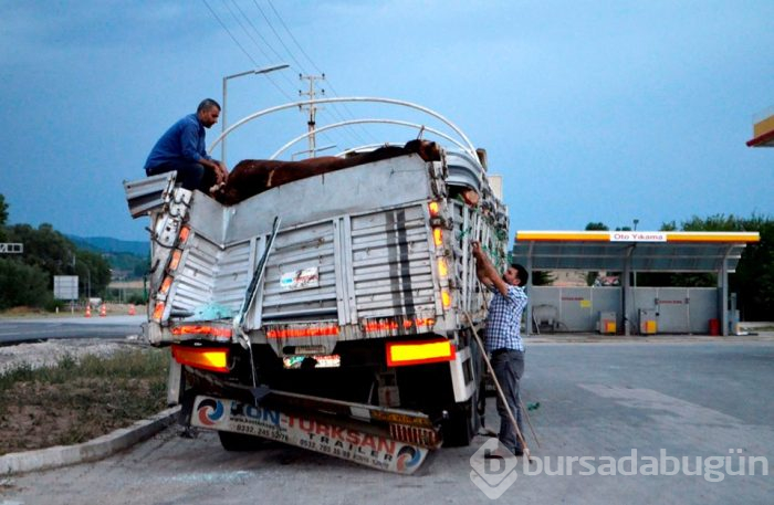 Amasya'da yolcu otobüsü TIR'a çarptı: 23 yaralı