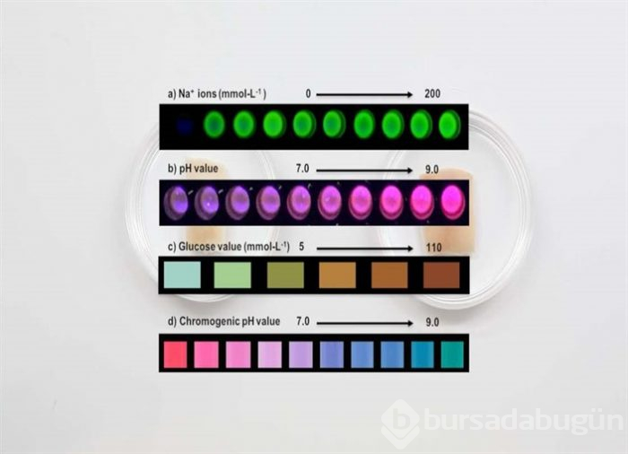 Dövmenizin sağlık durumunuza göre renk değiştirmesini ister miydiniz?
