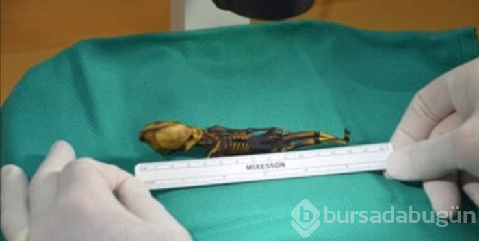 Uzaylı olduğu iddia edilen mumyanın sırrı çözüldü