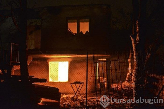Yunanistan'daki orman yangınında ölü sayısı 77'ye yükseldi (180'i aşkın yaralı var)