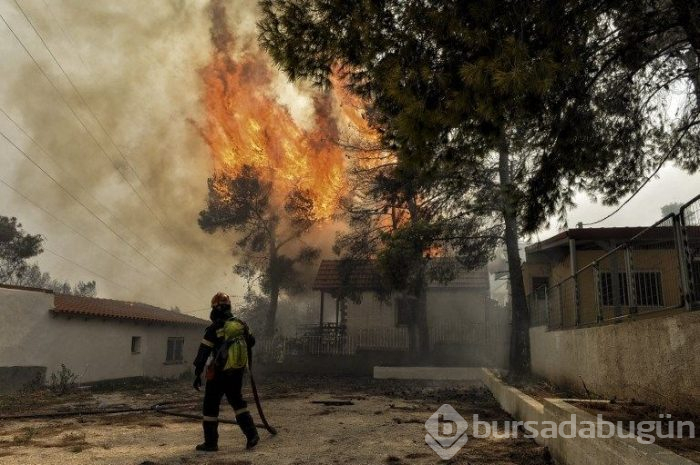 Yunanistan'daki orman yangınında ölü sayısı 77'ye yükseldi (180'i aşkın yaralı var)