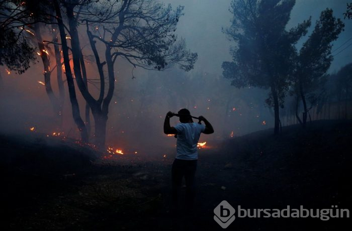 Yunanistan'daki orman yangınında ölü sayısı 77'ye yükseldi (180'i aşkın yaralı var)