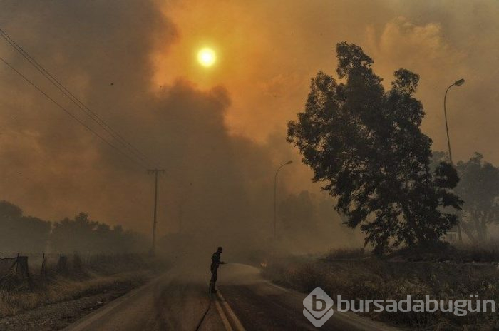 Yunanistan'daki orman yangınında ölü sayısı 77'ye yükseldi (180'i aşkın yaralı var)