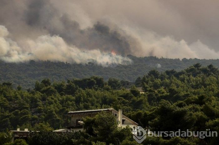 Yunanistan'daki orman yangınında ölü sayısı 77'ye yükseldi (180'i aşkın yaralı var)