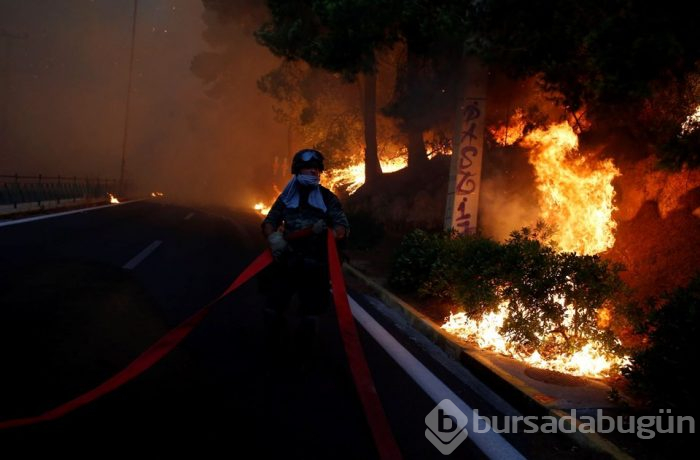 Yunanistan'daki orman yangınında ölü sayısı 77'ye yükseldi (180'i aşkın yaralı var)