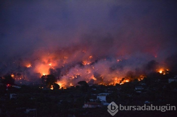 Yunanistan'daki orman yangınında ölü sayısı 77'ye yükseldi (180'i aşkın yaralı var)