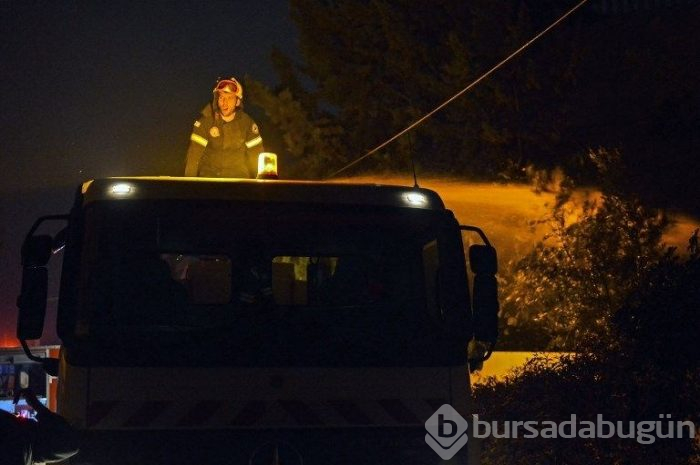 Yunanistan'daki orman yangınında ölü sayısı 77'ye yükseldi (180'i aşkın yaralı var)